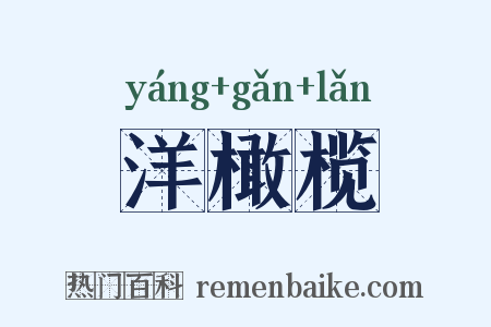 洋橄榄是什么意思的图片
